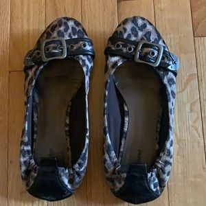 Graceland - 9 - Leopard Flats